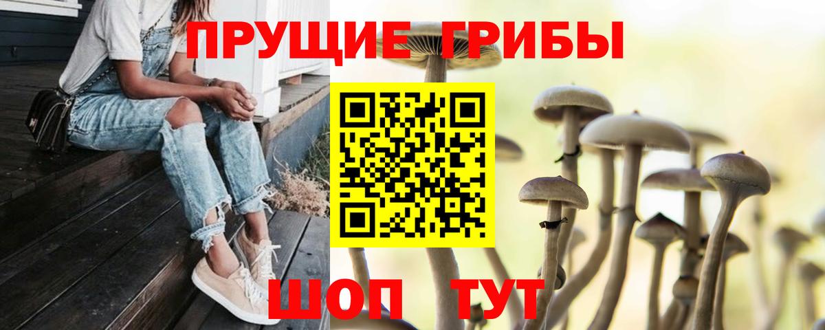 Псилоцибиновые грибы мицелий Советский